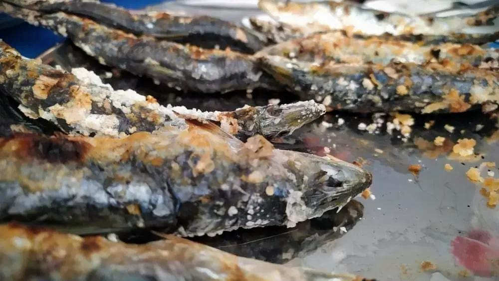 Menu_Restaurante do António_Sacavém_image_4