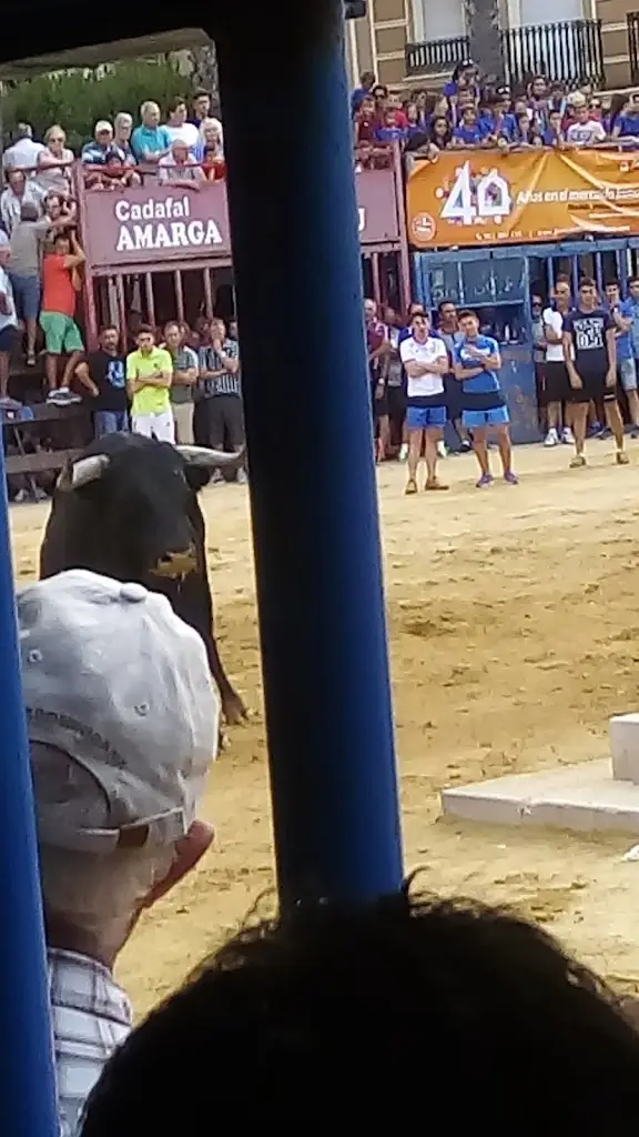 Pátio do Pinheiro_Venda do Pinheiro_slider_image_2