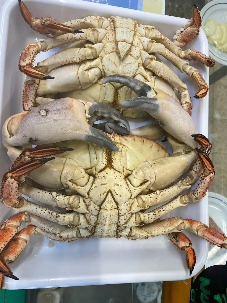 Cervejaria Picnic_Venda do Pinheiro_slider_image_2