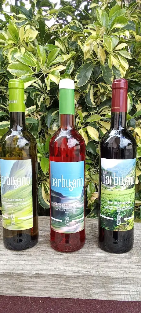 Menu_Churrascaria bar pombo_Canhas_immagine_6