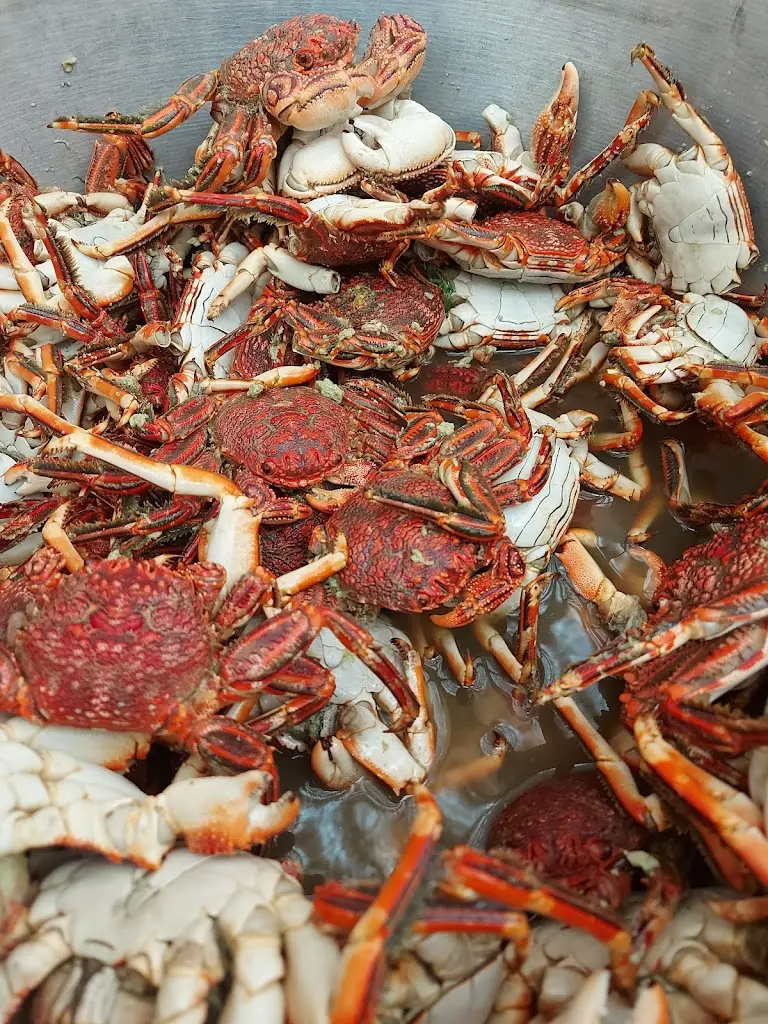 Menu_CAIS,Wine&Tapas Bar_Caniçal_immagine_8