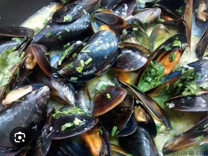 Menu_MESON DE DANY_Caniçal_image_8