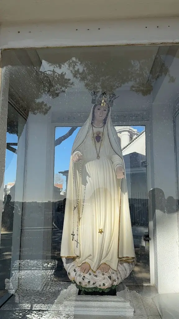 Erika_Miradouro da Senhora do Monte_Nossa Senhora do Monte_review