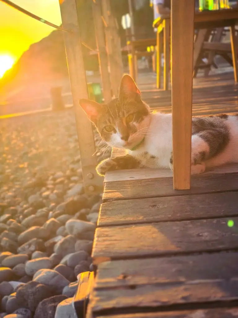 Mihaela Kozaric Sebrek_Ponta do Sol - Sun Spot Cafe_Ponta do Sol_recensione