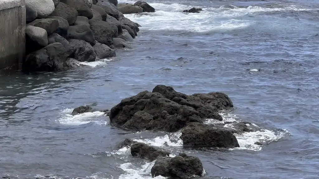 Patrick Mackaaij_Reis Magos restaurant_Caniço_reseña