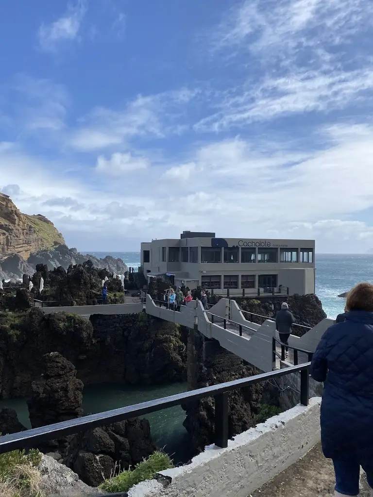 Vítor Monteiro_Cachalote_Porto Moniz_recensione