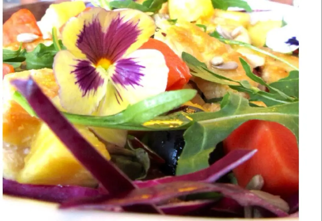 Conchinha_Porto Moniz_slider_image_3