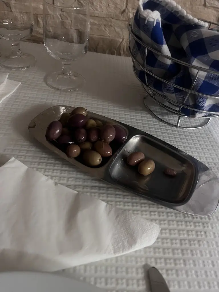 Antonieta Ponce de Leão_O Porta d'Aviz_Avis_review