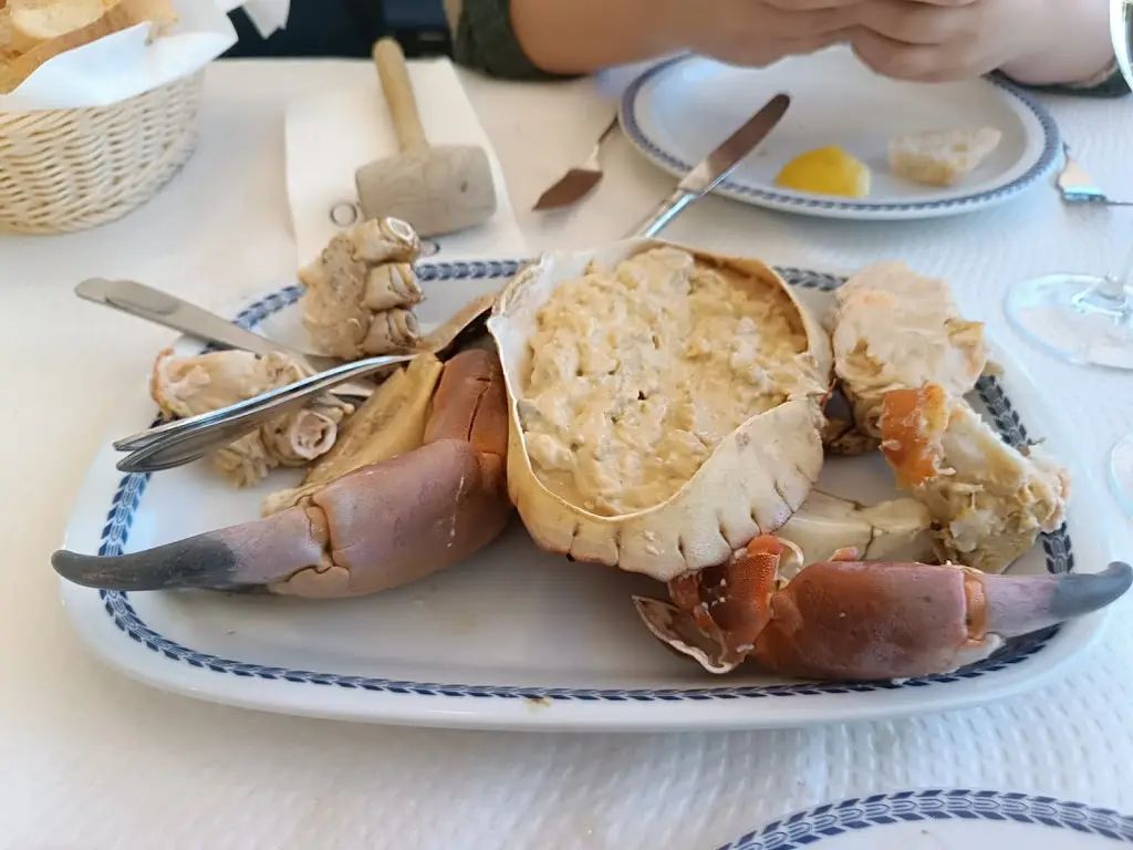 Sara Fernandes_El Cristo_Elvas_recensione