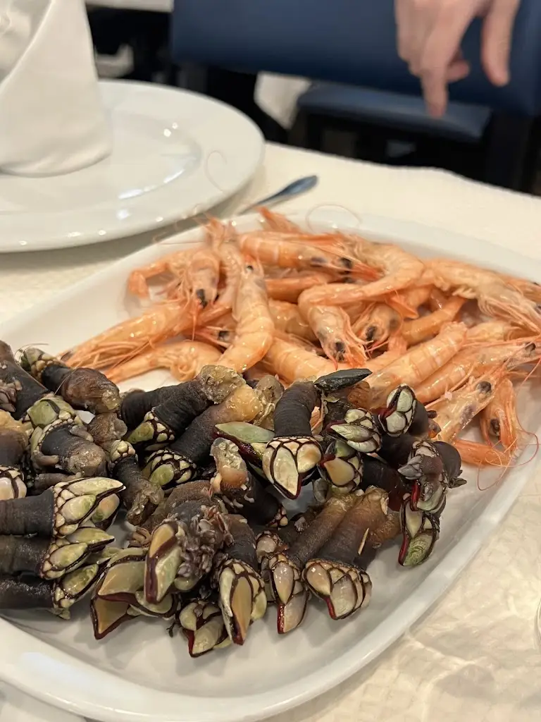 Nelson Nabais_El Cristo_Elvas_recensione