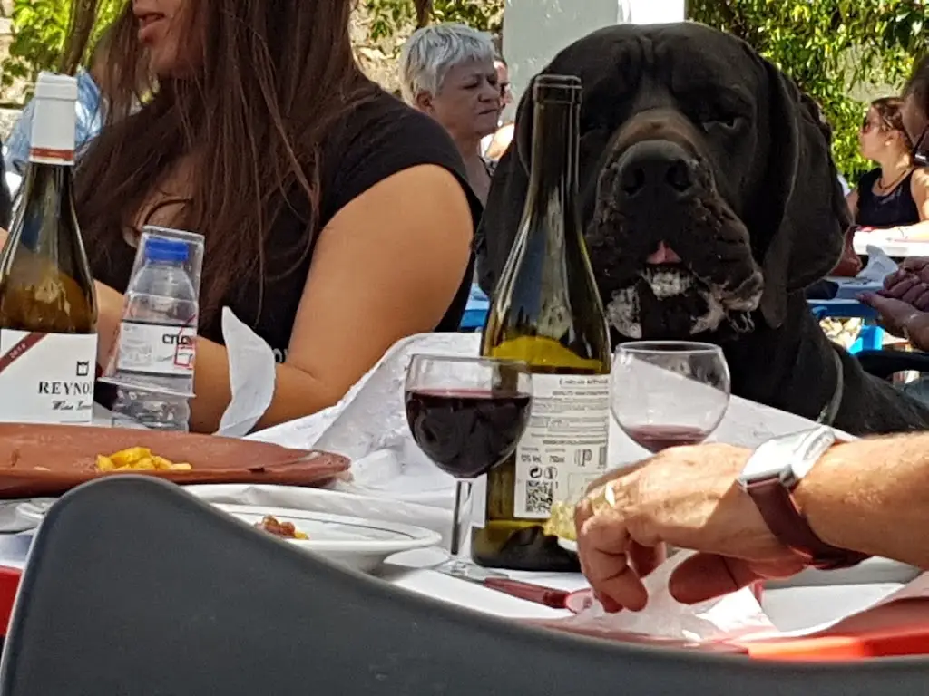 Sven-olaf van Slijpe_O Fosso_Arronches_recensione