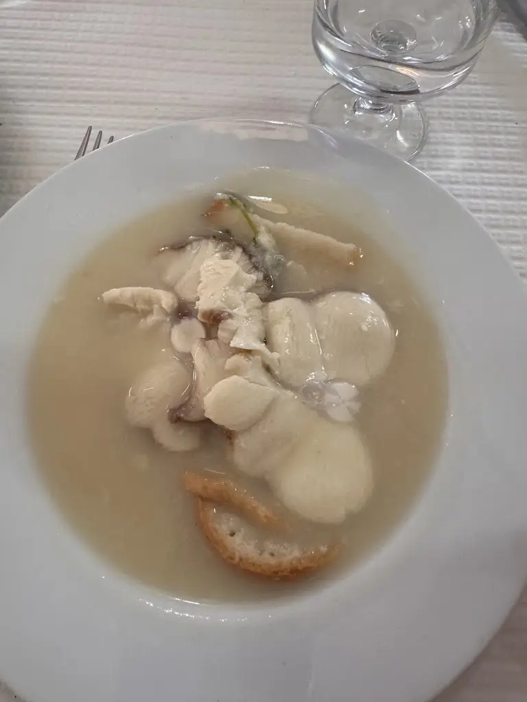 Sandra Costa_Carlos Caeiro_Arronches_reseña