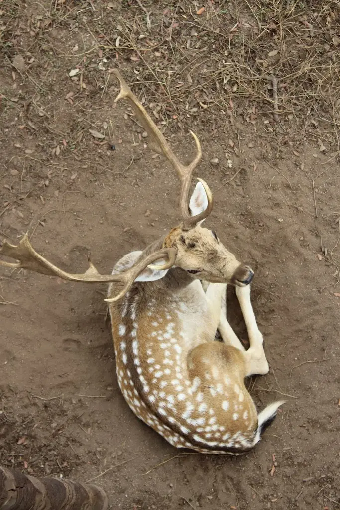 Léa Lecarpentier_Herdade da Rocha - Boutique Lodge_Crato_reseña