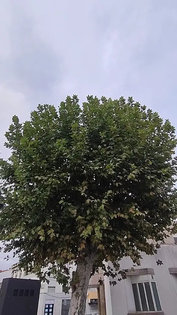 O Tasco_Crato_slider_image_2