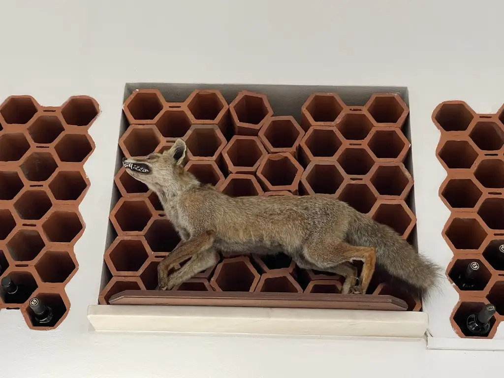 christine a. a._Restaurante Trindade_Campo Maior_recensione