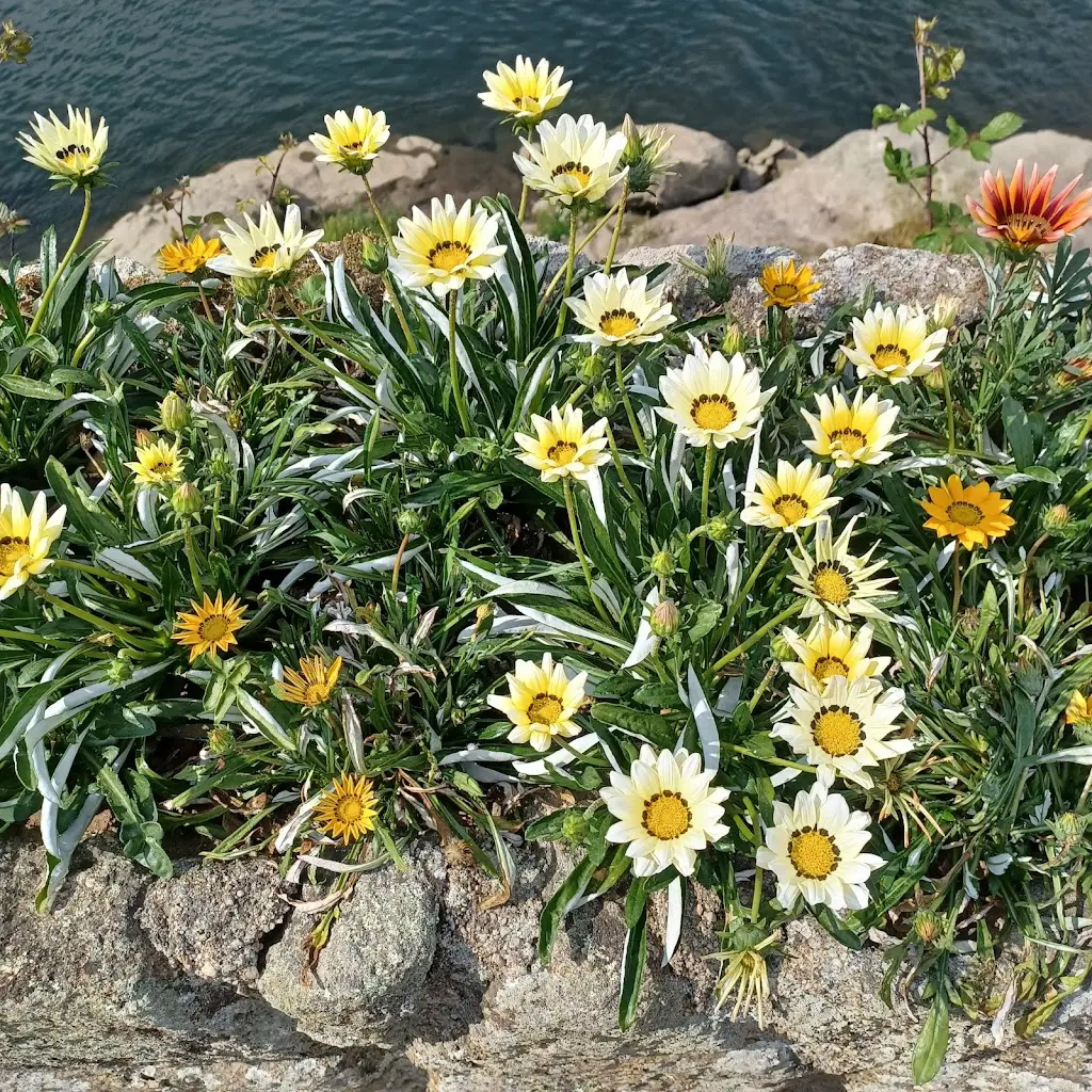 Barcelinhos_Campo Maior_slider_image_2