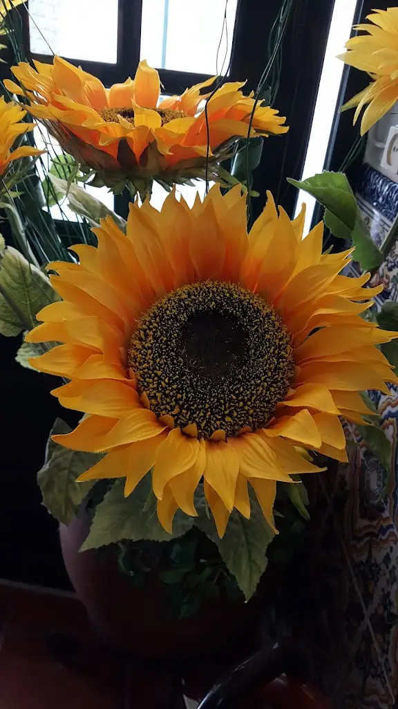 Maria Fátima Hilário Gonçalves, Unipessoal Lda. ristorante a Campo Maior