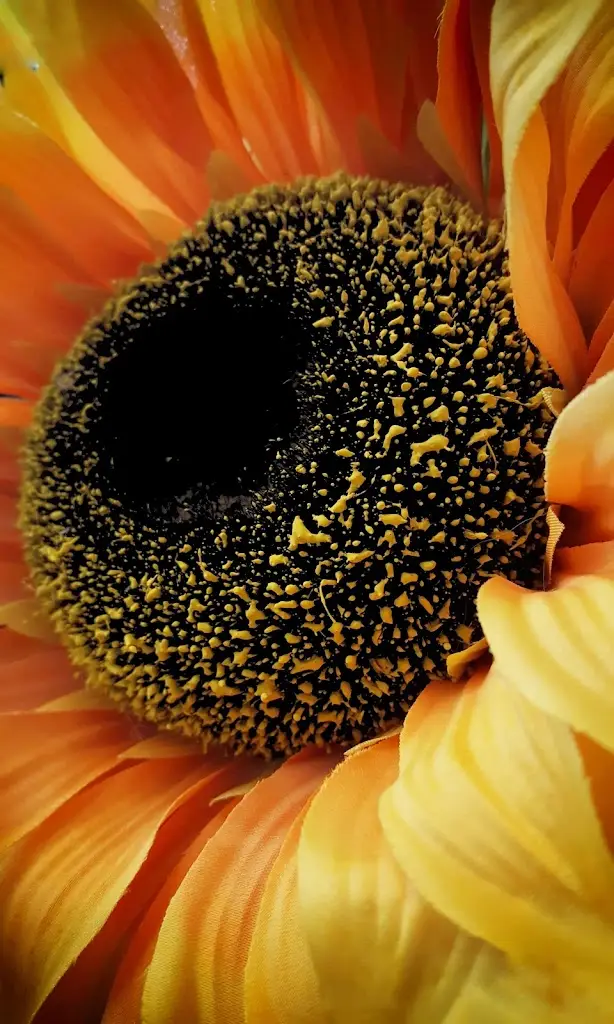 Maria Fátima Hilário Gonçalves, Unipessoal Lda._Campo Maior_slider_image_2