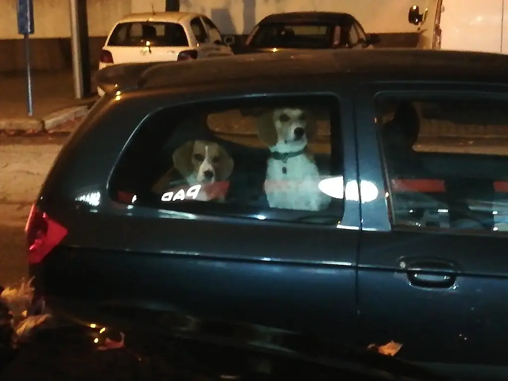 Grupo Cantares Despertar Alentejano_Campo Maior_slider_image_2