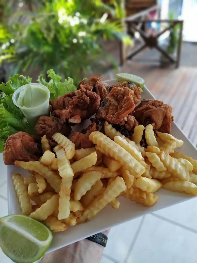 Gavião Anadia_Gavião_slider_image_2