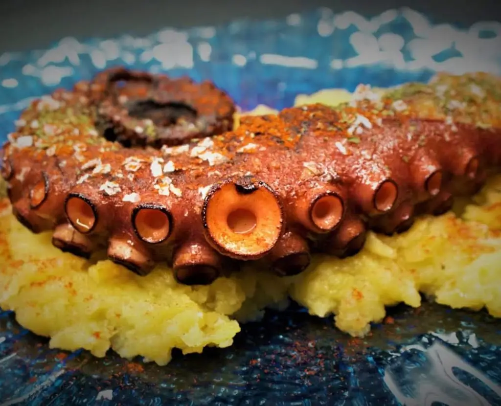 O Belver_Gavião_slider_image_2