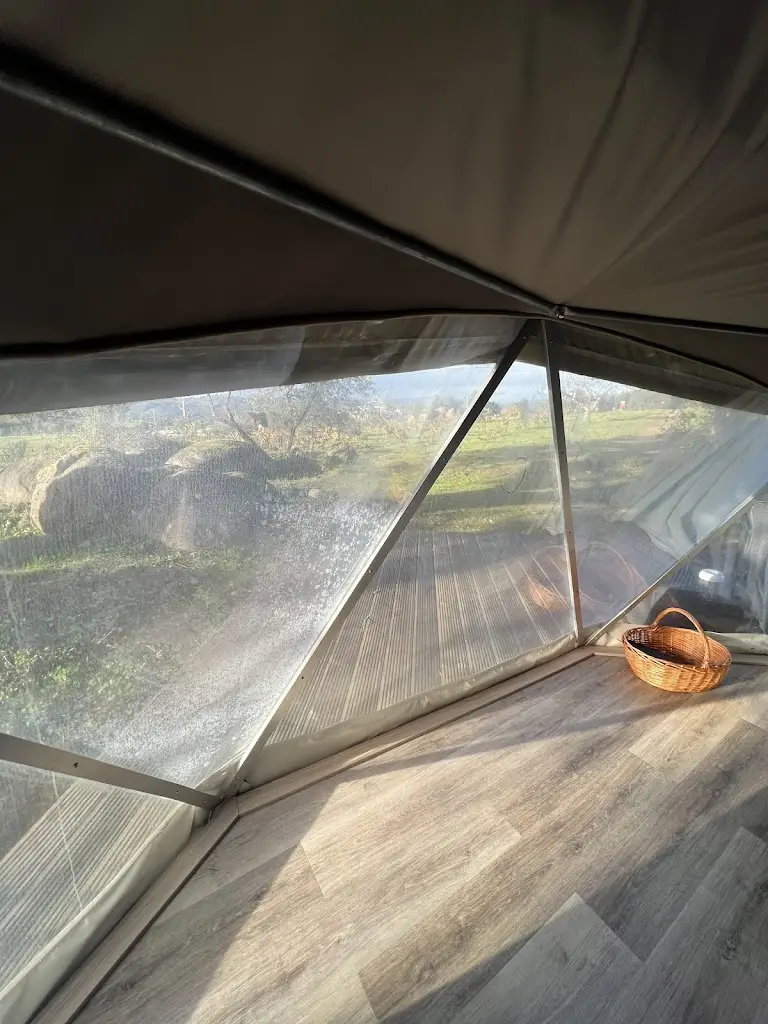 Catarina Lazareva_Gavião Nature Village_Gavião_review