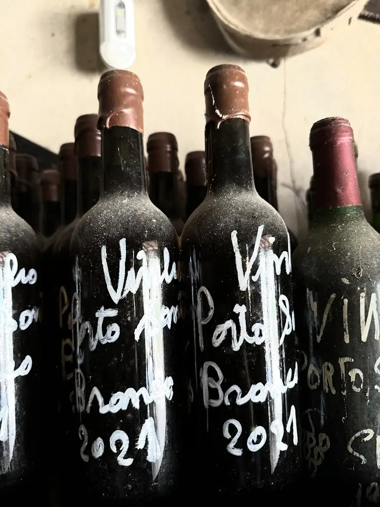 Menu_Restaurante Adega das Levadas_Porto Santo_immagine_5