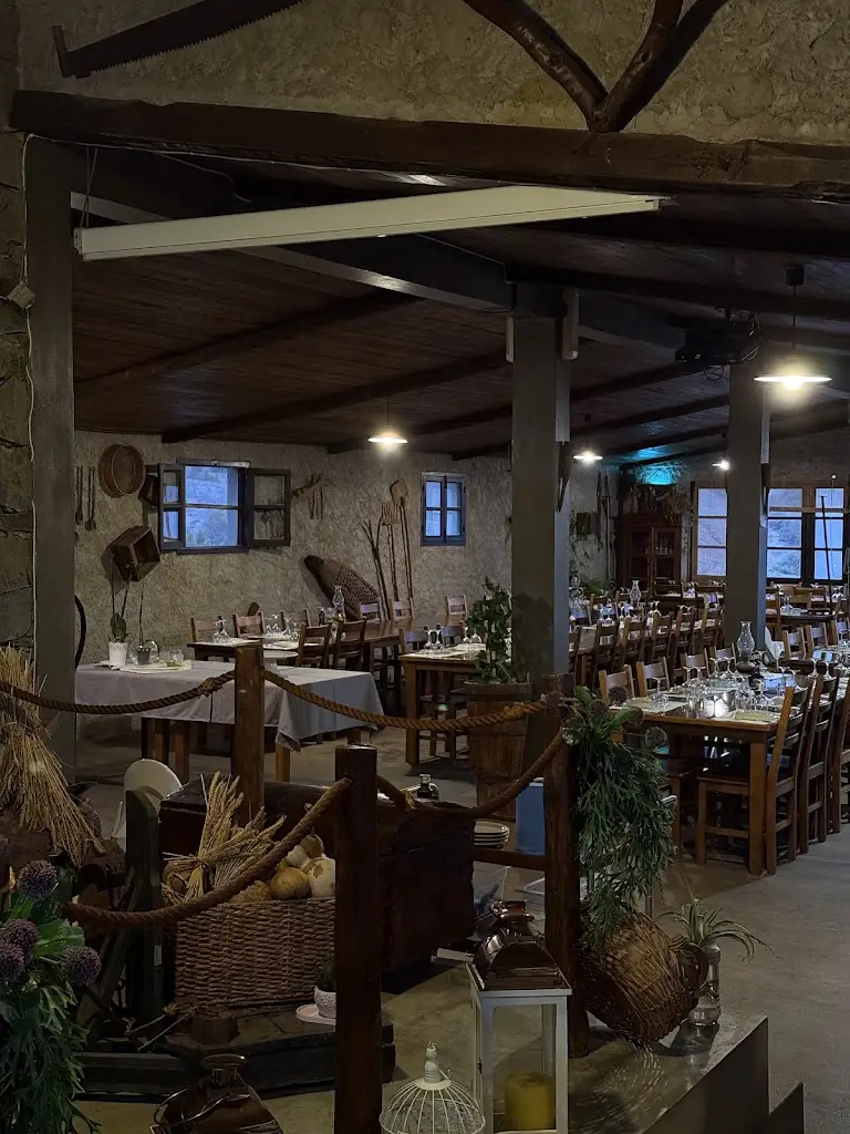 Лилия Павлова_Restaurante Adega das Levadas_Porto Santo_recensione