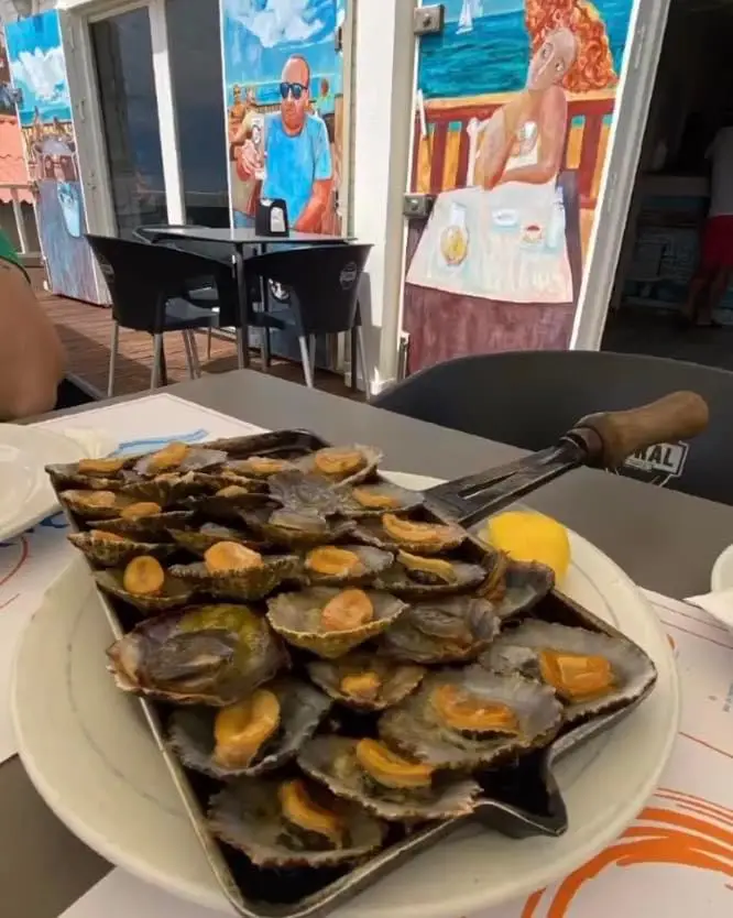 Bar do Henrique_Porto Santo_slider_image_3