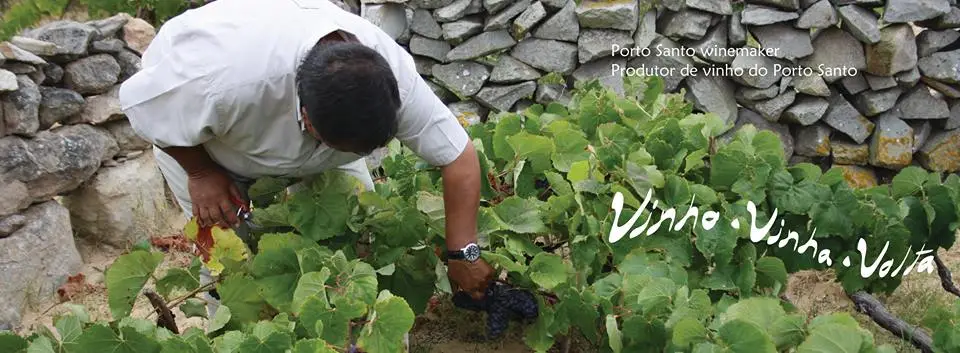 Wine Bar 3V's_Porto Santo_slider_image_3