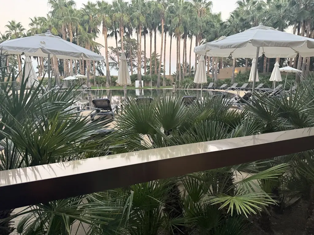 Eduardo Junior_AP Lago Montargil Conference & SPA_Montargil_recensione