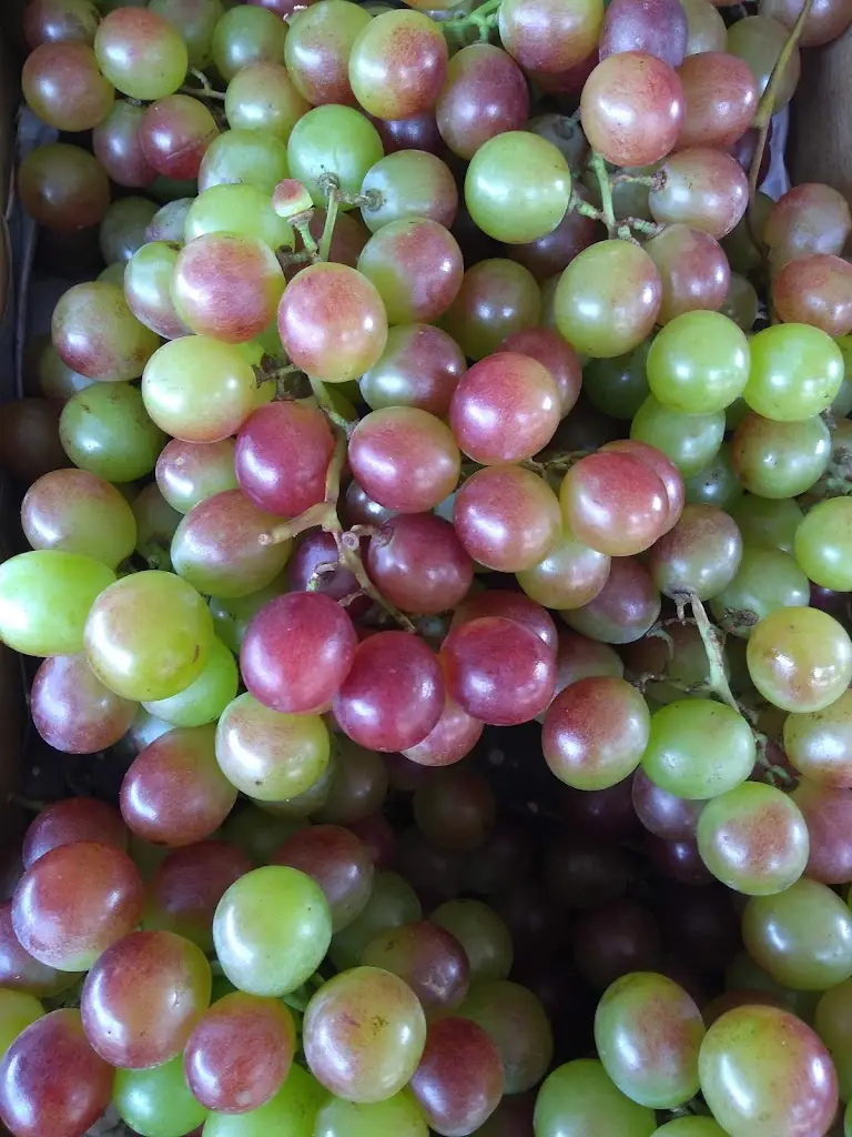 Menu_EML - Tapas & Petiscos_Ponte de Sor_image_3