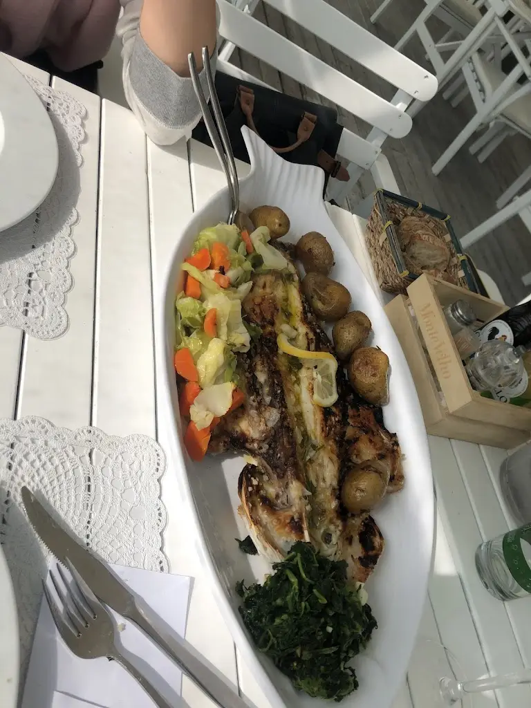 Zidane Fdil_Barracuda Mar_Aver-o-Mar_recensione