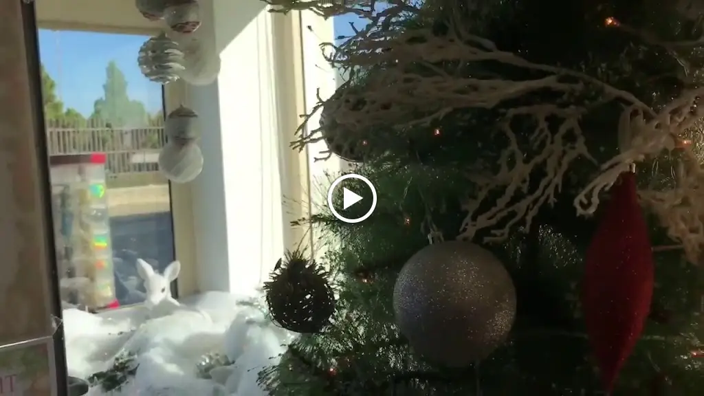 Restaurante Flor do Mar_Beiriz de Baixo_slider_image_2