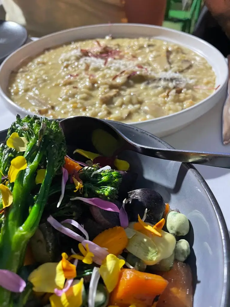 Francesco_Fonte do Corro_Portalegre_reseña