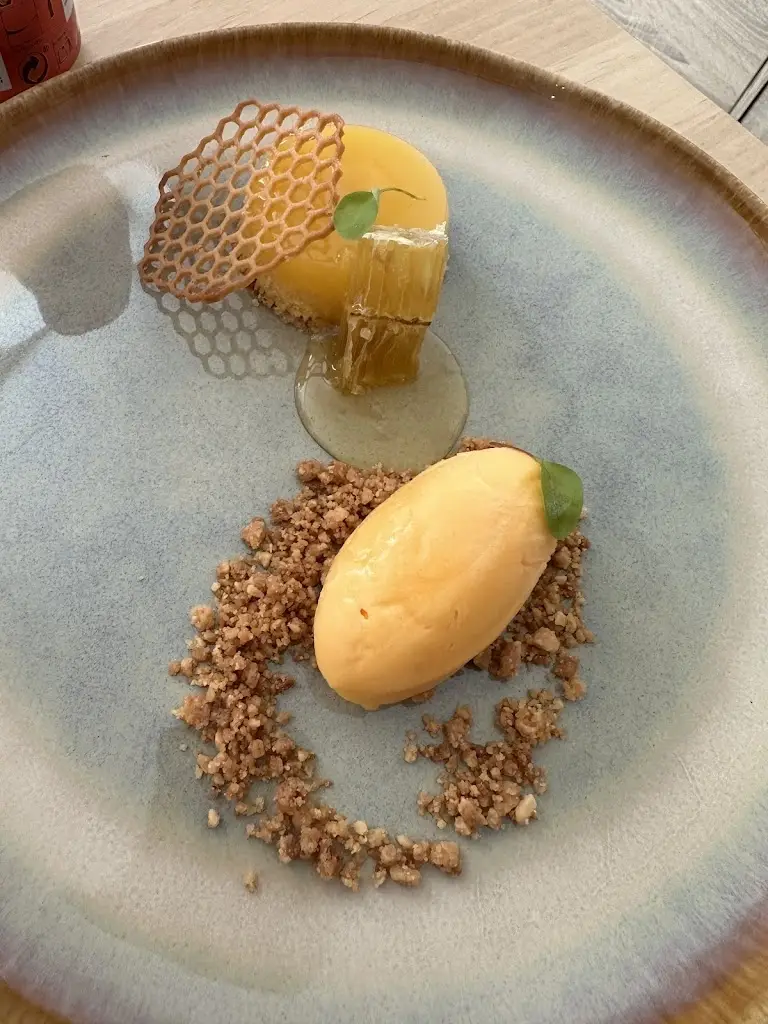 Menu_Cilantro_Portalegre_immagine_5