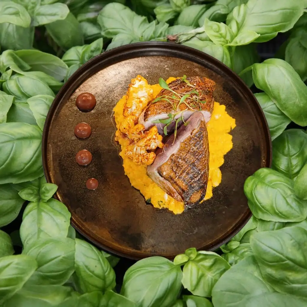 Cilantro ristorante a Portalegre