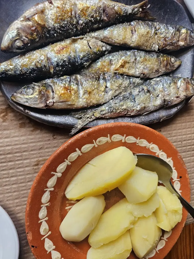 stella Ho_O Cais_Avintes_recensione