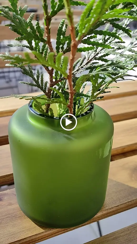 Huile D'Olive - Restaurante Mediterrâneo_Milheirós de Poiares_slider_image_2