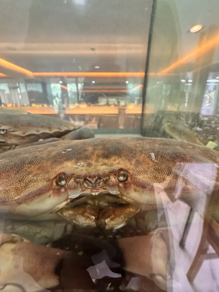 Menu_Restaurante Pedra Bela_Milheirós de Poiares_immagine_1