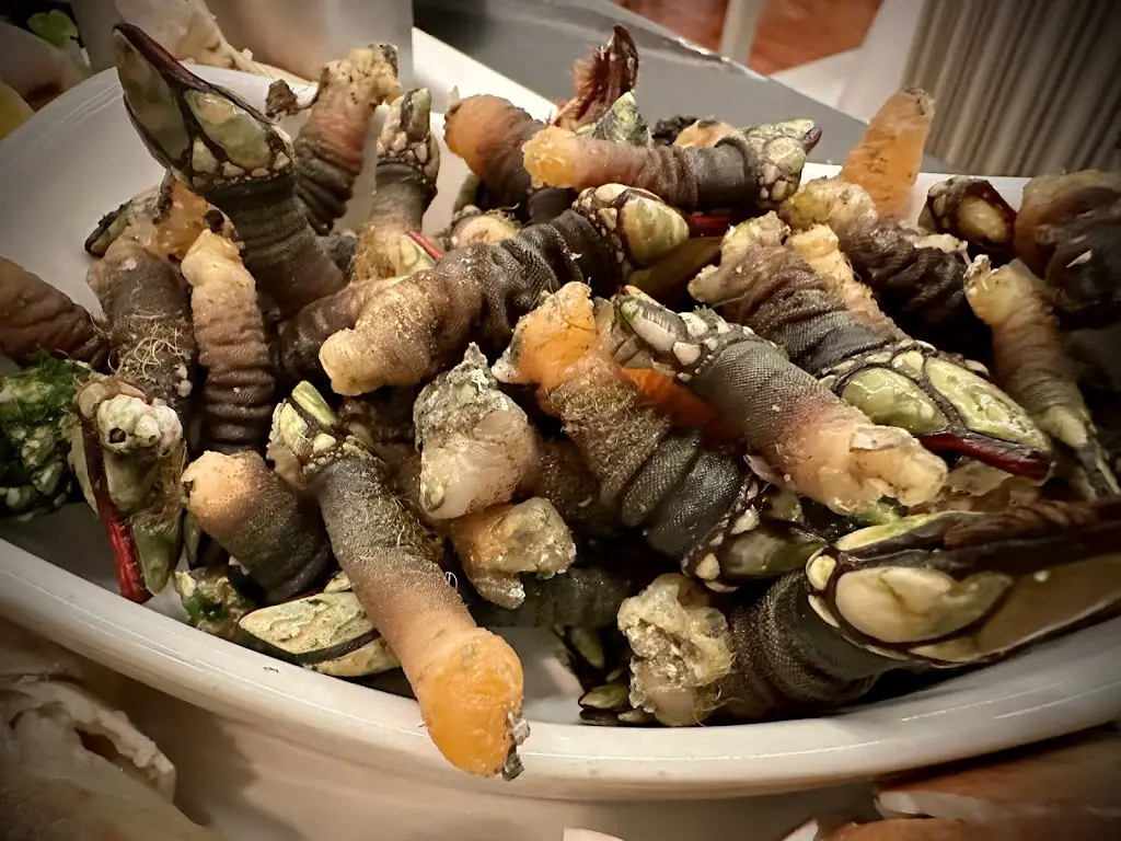 Enrico B_Casarão do Castelo_Leça da Palmeira_review