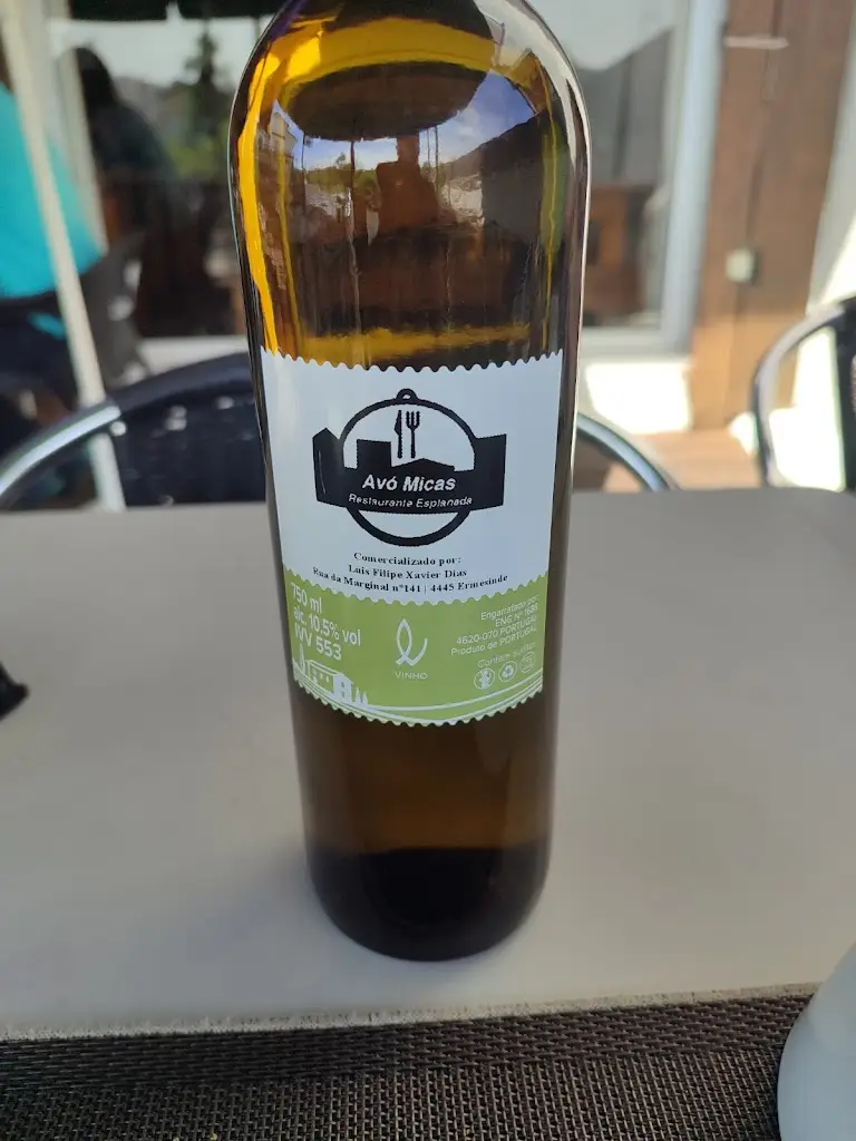 Miguel Gonçalves_Avó Micas_Ermesinde_reseña