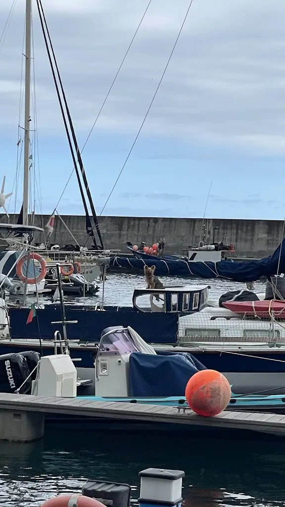 Vahid Shahani_Marina Azul Restaurante_Calheta de São Jorge_review