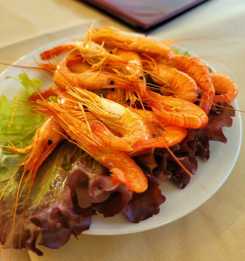 Mocmoc P_A Casa do Gordo_Lavra_reseña