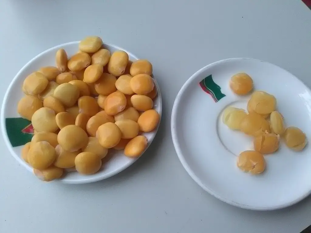 Menu_Snacks bar O Farol_Murtosa_image_3