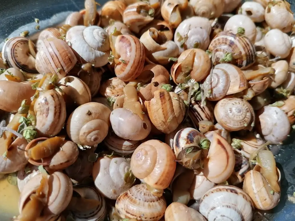 Menu_Snacks bar O Farol_Murtosa_image_4