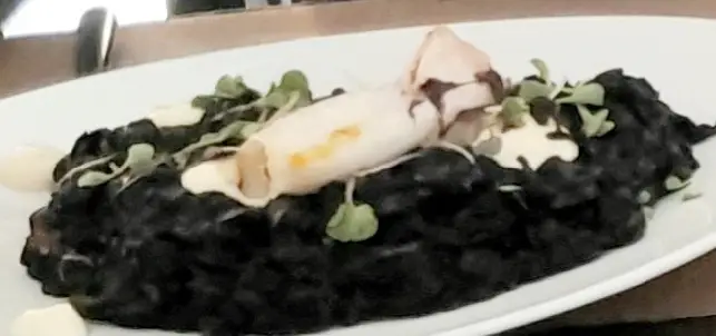 Nicole B Garcia_D. Pernil_Milheirós_reseña