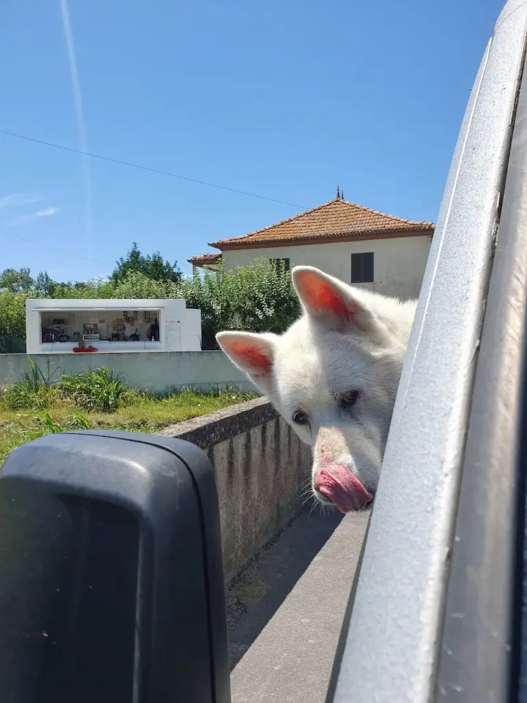 Charlie White_Ria d' Aldeia_Pardilhó_recensione