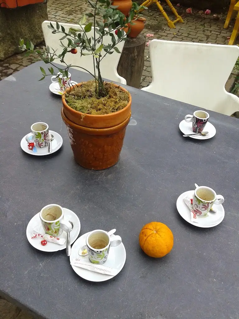 Menu_S. Vicente_São Pedro da Cova_immagine_6