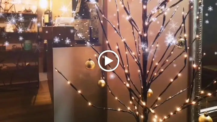 Baco.Come | Restaurante_Santa Maria da Feira_slider_image_2